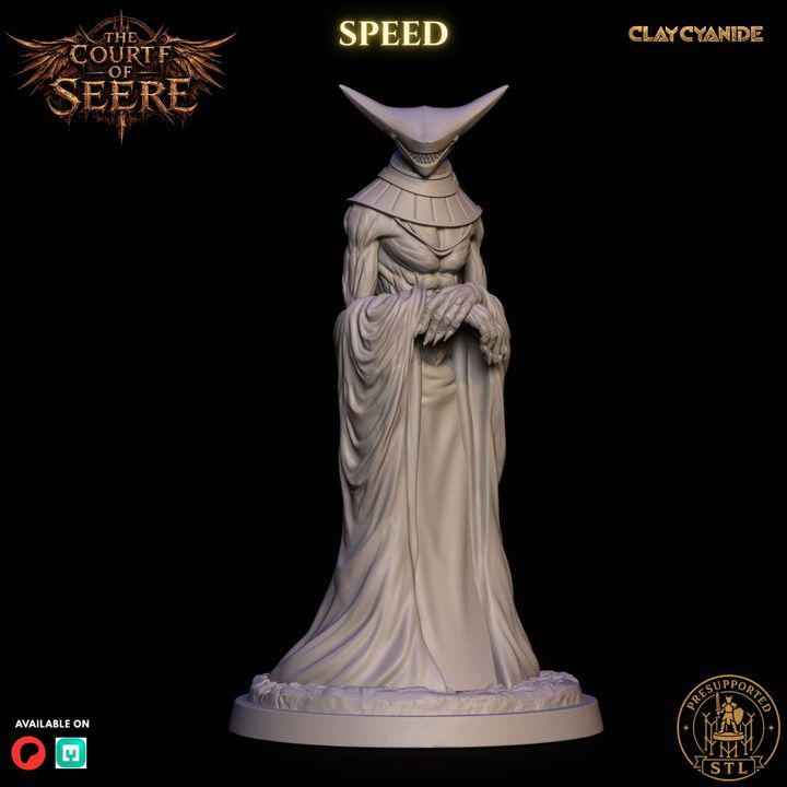 The Court of Seere- Tabletop rpg miniatures- Boss encounter set
