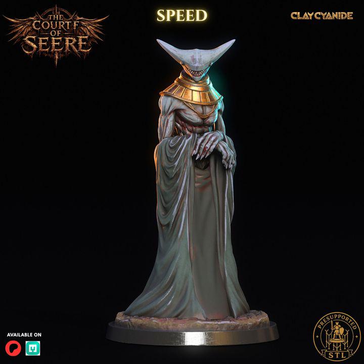 The Court of Seere- Tabletop rpg miniatures- Boss encounter set