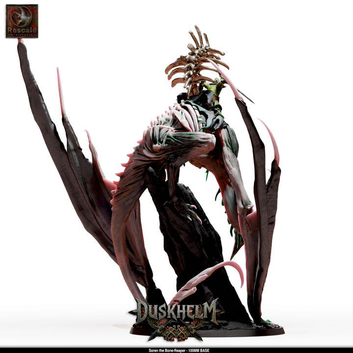 Nightwing Mourners: Soren the Bone-Reaper – 40mm Hero & 100mm Centerpiece